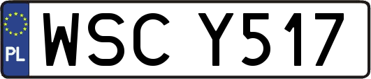 WSCY517