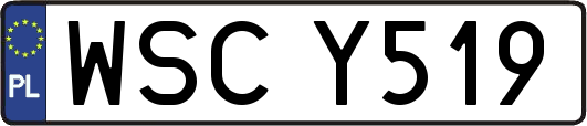 WSCY519