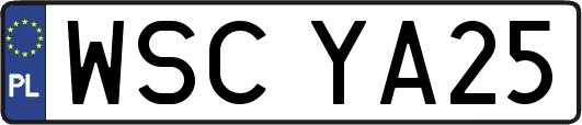 WSCYA25
