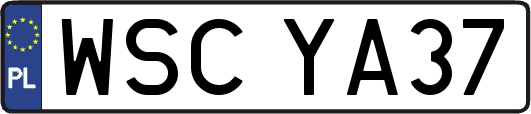 WSCYA37