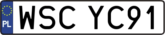 WSCYC91