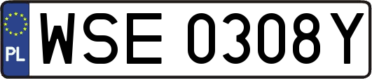 WSE0308Y
