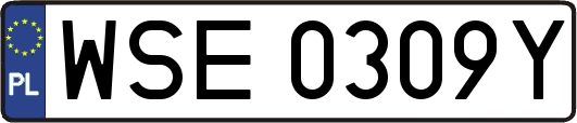WSE0309Y