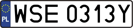 WSE0313Y