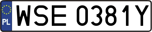 WSE0381Y