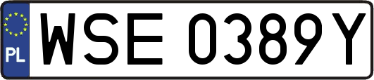 WSE0389Y