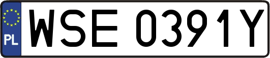 WSE0391Y