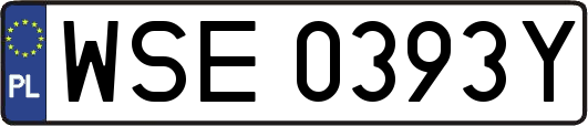 WSE0393Y