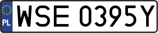 WSE0395Y
