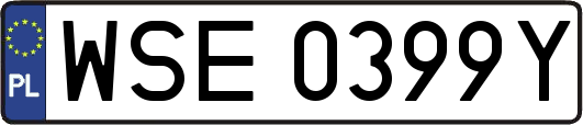 WSE0399Y