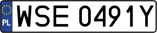 WSE0491Y