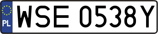WSE0538Y