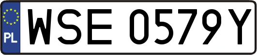 WSE0579Y