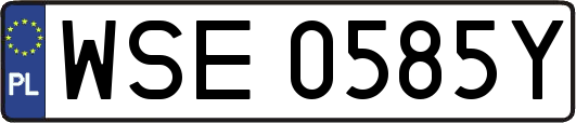WSE0585Y