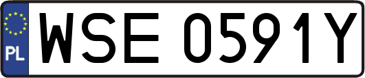 WSE0591Y