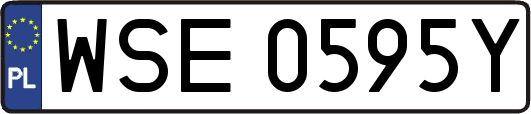 WSE0595Y