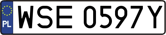 WSE0597Y