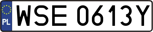 WSE0613Y
