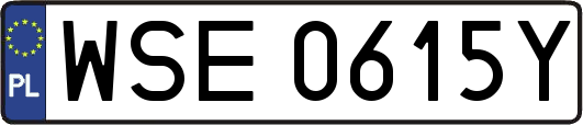WSE0615Y