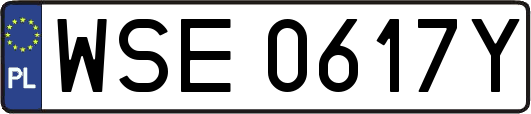 WSE0617Y