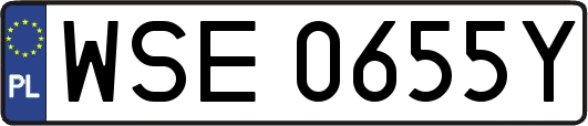 WSE0655Y