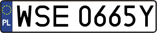 WSE0665Y