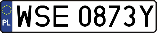 WSE0873Y