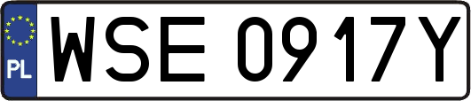WSE0917Y
