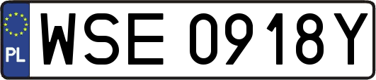 WSE0918Y