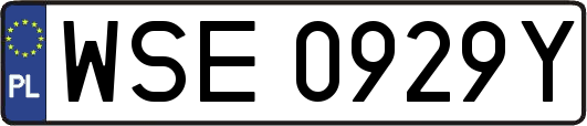 WSE0929Y
