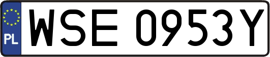 WSE0953Y