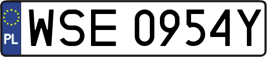 WSE0954Y