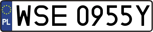 WSE0955Y