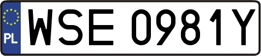 WSE0981Y