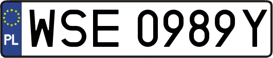 WSE0989Y