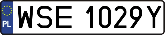 WSE1029Y