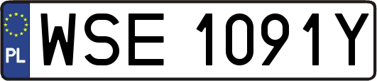 WSE1091Y