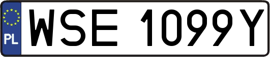 WSE1099Y