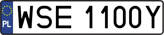 WSE1100Y