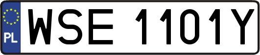 WSE1101Y
