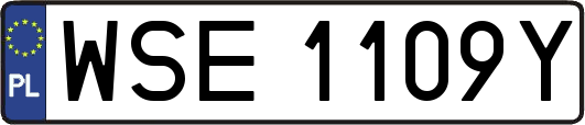 WSE1109Y