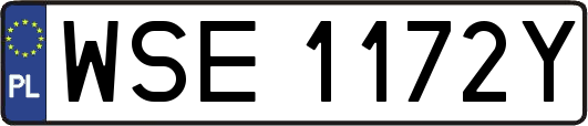 WSE1172Y