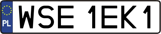 WSE1EK1
