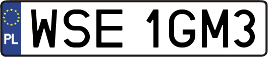 WSE1GM3