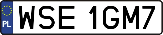 WSE1GM7