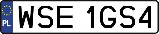 WSE1GS4