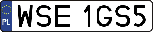 WSE1GS5