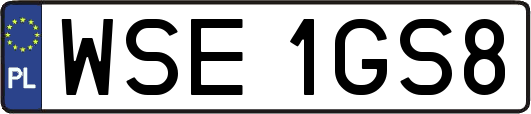 WSE1GS8