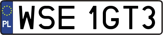 WSE1GT3