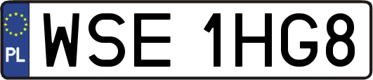 WSE1HG8